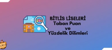 Bitlis Lise Taban Puanları, Bitlis Lise Yüzdelik Dilimleri