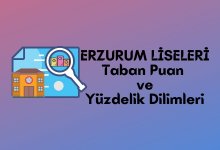 Erzurum Lise Taban Puanları, Erzurum Lise Yüzdelik Dilimleri