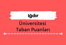 Iğdır Üniversitesi Taban Puanları ve Başarı Sıralamaları, İĞDÜ