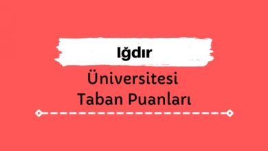 Iğdır Üniversitesi Taban Puanları ve Başarı Sıralamaları, İĞDÜ