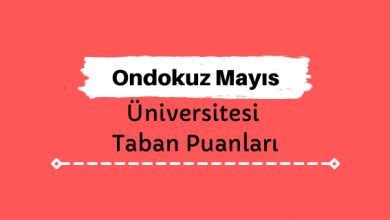 Ondokuz Mayıs Üniversitesi Taban Puanları ve Başarı Sıralamaları, OMÜ