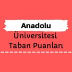 Anadolu Üniversitesi Taban Puanları ve Sıralamaları, AÜ Taban Puanları ve Başarı Sıralaması