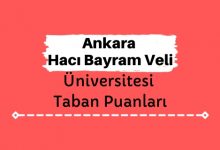 Ankara Hacı Bayram Veli Üniversitesi Taban Puanları ve Sıralamaları