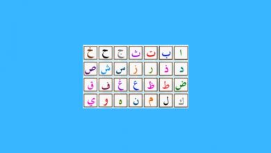 Arapça Öğretmenliği Taban Puanları