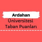 Ardahan Üniversitesi Taban Puanları ve Sıralamaları, ARÜ Taban Puanları ve Başarı Sıralaması