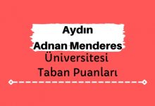 Aydın Adnan Menderes Üniversitesi Taban Puanları ve Sıralamaları