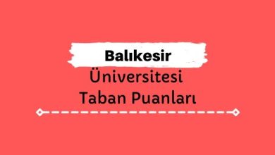 Balıkesir Üniversitesi Taban Puanları ve Sıralamaları, BAÜN Taban Puanları ve Başarı Sıralaması