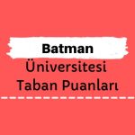 Batman Üniversitesi Taban Puanları ve Sıralamaları, BTÜ Taban Puanları ve Başarı Sıralaması