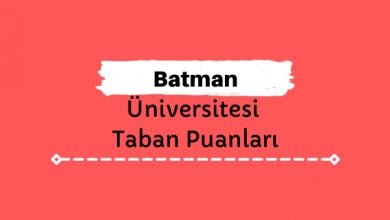 Batman Üniversitesi Taban Puanları ve Sıralamaları, BTÜ Taban Puanları ve Başarı Sıralaması