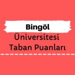 Bingöl Üniversitesi Taban Puanları ve Sıralamaları