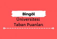 Bingöl Üniversitesi Taban Puanları ve Sıralamaları