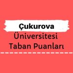 Çukurova Üniversitesi Taban Puanları ve Sıralamaları, ÇÜ Taban Puanları ve Başarı Sıralaması