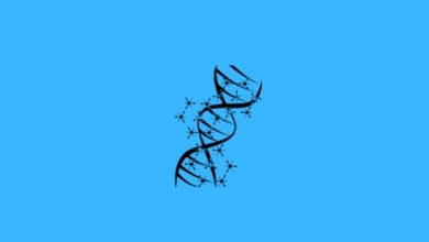 Genetik ve Biyomühendislik Taban Puanları