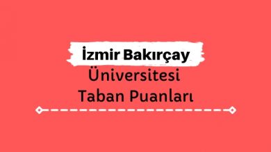 İzmir Bakırçay Üniversitesi Taban Puanları ve Sıralamaları
