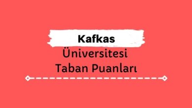 Kafkas Üniversitesi Taban Puanları ve Sıralamaları, KAÜ Taban Puanları ve Başarı Sıralaması