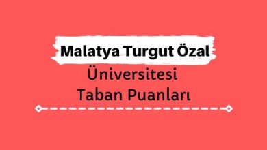 Malatya Turgut Özal Üniversitesi Taban Puanları ve Sıralamaları
