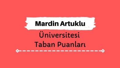 Mardin Artuklu Üniversitesi Taban Puanları ve Sıralamaları, MAÜ Taban Puanları ve Başarı Sıralaması