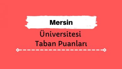 Mersin Üniversitesi Taban Puanları ve Sıralamaları, MEÜ Taban Puanları ve Başarı Sıralaması