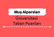 Muş Alparslan Üniversitesi Taban Puanları ve Sıralamaları, MŞÜ Taban Puanları ve Başarı Sıralaması