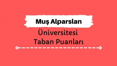 Muş Alparslan Üniversitesi Taban Puanları ve Sıralamaları, MŞÜ Taban Puanları ve Başarı Sıralaması
