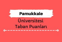 Pamukkale Üniversitesi Taban Puanları ve Sıralamaları, PAÜ Taban Puanları ve Başarı Sıralaması