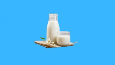 Süt Teknolojisi Taban Puanları, Süt Teknolojisi Başarı Sıralaması, Süt Teknolojisi Bölümü