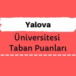 Yalova Üniversitesi Taban Puanları ve Sıralamaları, YÜ Taban Puanları ve Başarı Sıralaması