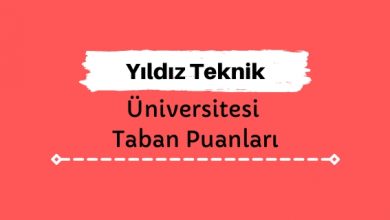 Yıldız Teknik Üniversitesi Taban Puanları ve Sıralamaları, YTÜ Taban Puanları ve Başarı Sıralaması