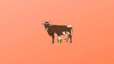 Süt Ve Besi Hayvancılığı(2 Yıllık Önlisans) Taban Puanları ve Sıralaması